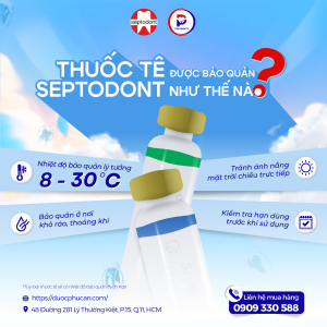 Thuốc gây tê nha khoa SEPTODONT - Septanest và Scandonest